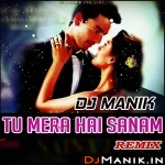 Tu Mera Hai Sanam Remix (Female Version) DJ Manik